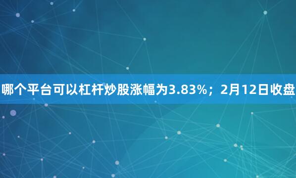 哪个平台可以杠杆炒股涨幅为3.83%；2月12日收盘